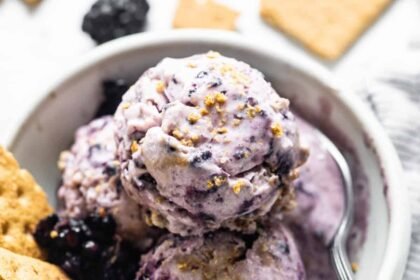 Cottage Cheese Ice Cream (Blackberry Cheesecake)