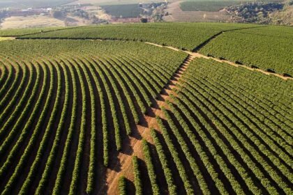 Environmental Factor - December 2024: Brazil coffee worker study examines fungicide effects, tests predictive tools