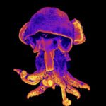 Environmental Factor - January 2025: Science as art, fellows capture NIEHS research in vibrant images