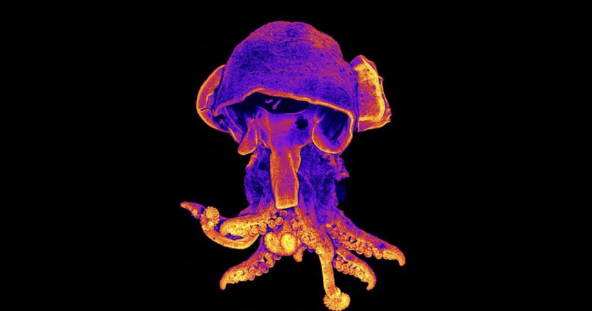 Environmental Factor - January 2025: Science as art, fellows capture NIEHS research in vibrant images