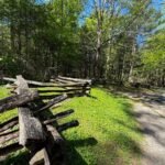 Things to do in Pigeon Forge – besides Dollywood!