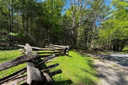 Things to do in Pigeon Forge – besides Dollywood!
