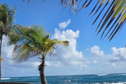 Caribe Hilton San Juan Review: Why We Almost Canceled — And Are So Glad We Didn’t