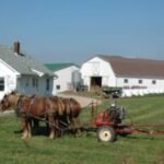 Working with Old Order Cultures – National AgrAbility Project