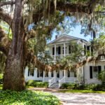 historic southern home under huge live oak tree Old Point Neighborhood,