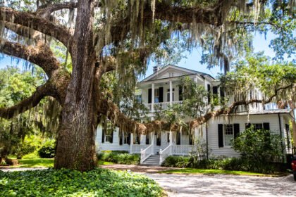 historic southern home under huge live oak tree Old Point Neighborhood,