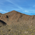Biannual CDC/ATSDR Tribal Advisory Committee Meetings | Tribal Affairs