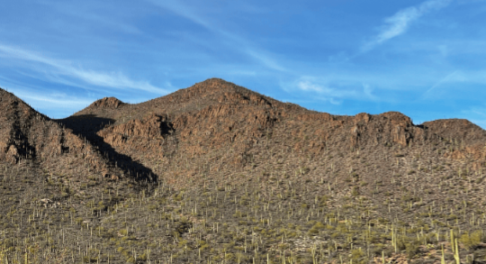 Biannual CDC/ATSDR Tribal Advisory Committee Meetings | Tribal Affairs