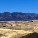 A landscape photo of an empty road heading over rolling hills towards a mountain range in rural Colorado. The Colorado Rural Health Transformation Program logo is visible in the upper right hand corner.