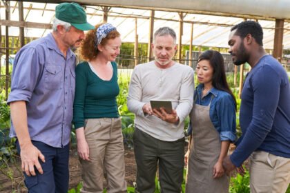 Environmental Factor - October 2024: Exploratory research centers catalyze climate and health research