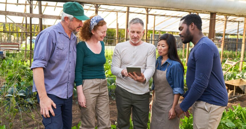 Environmental Factor - October 2024: Exploratory research centers catalyze climate and health research