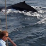 Environmental Factor - September 2024: RIVER grantee examines chromium exposure consequences across species