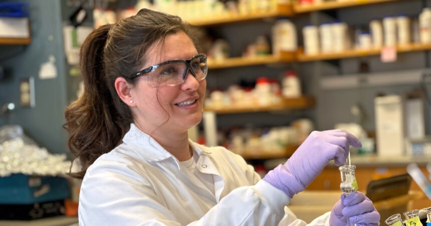Environmental Factor - September 2024: Unmasking NDMA: Cancer clues and repair insights