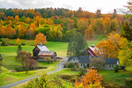 Vermont fall foliage with lively red and orange trees covering the hillside