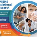 Environmental Factor - December 2025: NIEHS research fuels advances to promote health