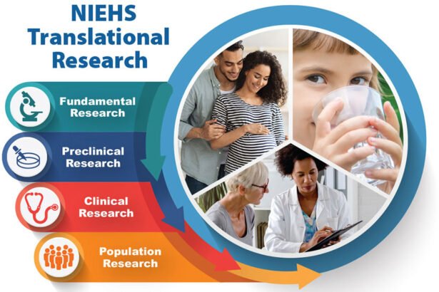 Environmental Factor - December 2025: NIEHS research fuels advances to promote health