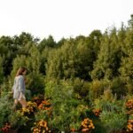 woman walking through raised bed garden with marigolds