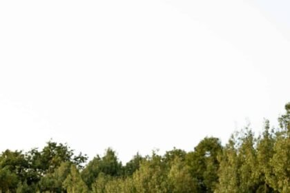 woman walking through raised bed garden with marigolds