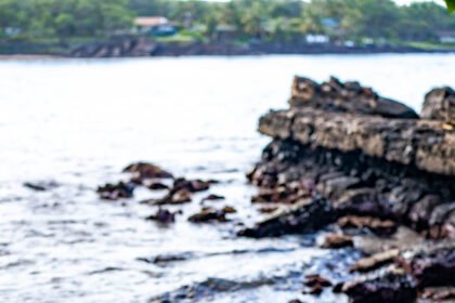 10 Spots You're GUARANTEED to Find Sea Turtles on Oahu