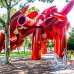 A Playground With No Limits