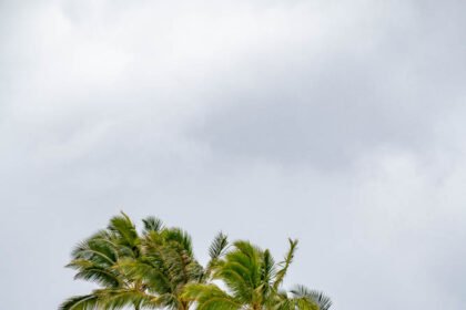 A Very Helpful Guide to Visiting Honolulu (+ Fun Things to Do)