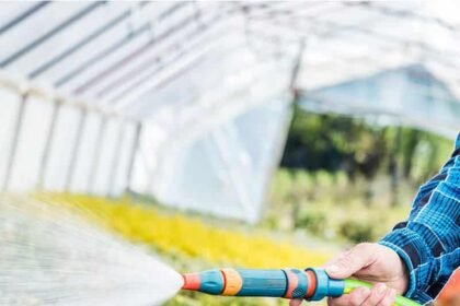 Best Expandable Garden Hose in 2022 (Reviews and Comparison)