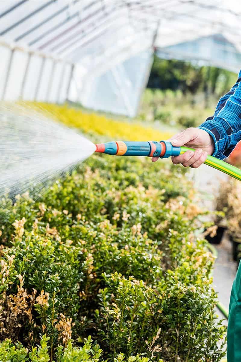 Best Expandable Garden Hose in 2022 (Reviews and Comparison)