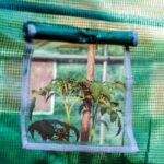 Best Grow Tent in 2022 (Reviews and Comparison)