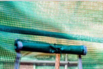 Best Grow Tent in 2022 (Reviews and Comparison)