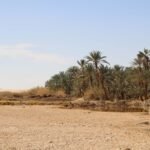 Best Things To Do, Where To Stay & When To Visit