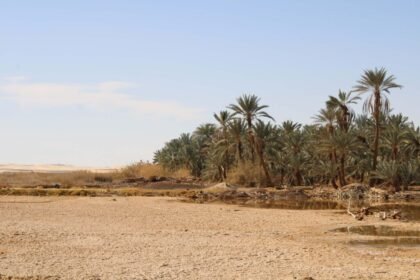 Best Things To Do, Where To Stay & When To Visit