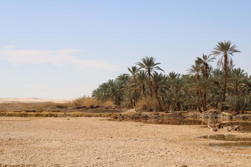 Best Things To Do, Where To Stay & When To Visit