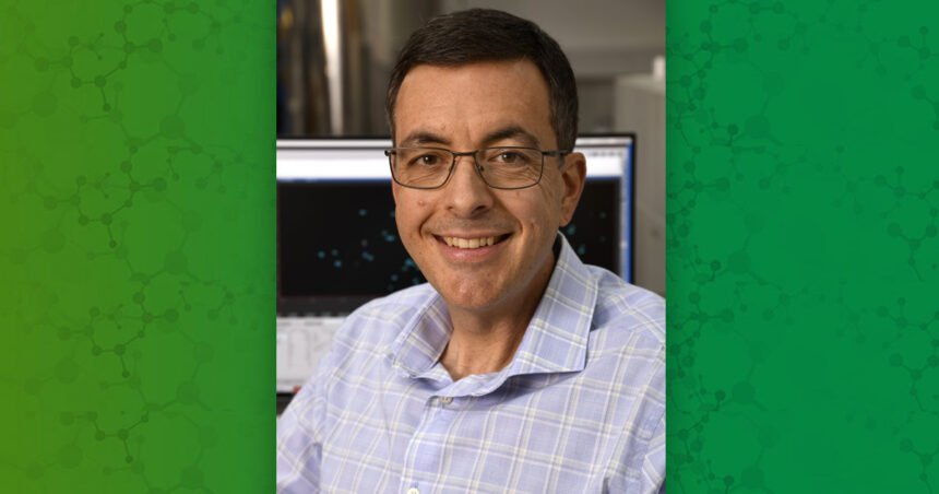 Environmental Factor - August 2025: Immune system is pre-programmed to recognize peanuts, study finds