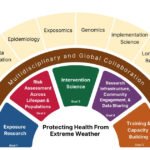 Environmental Factor - December 2025: NIEHS News in Brief