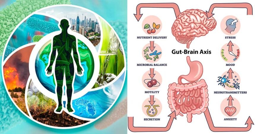 Environmental Factor - July 2025: Environment’s role in gut-brain axis explored at Council