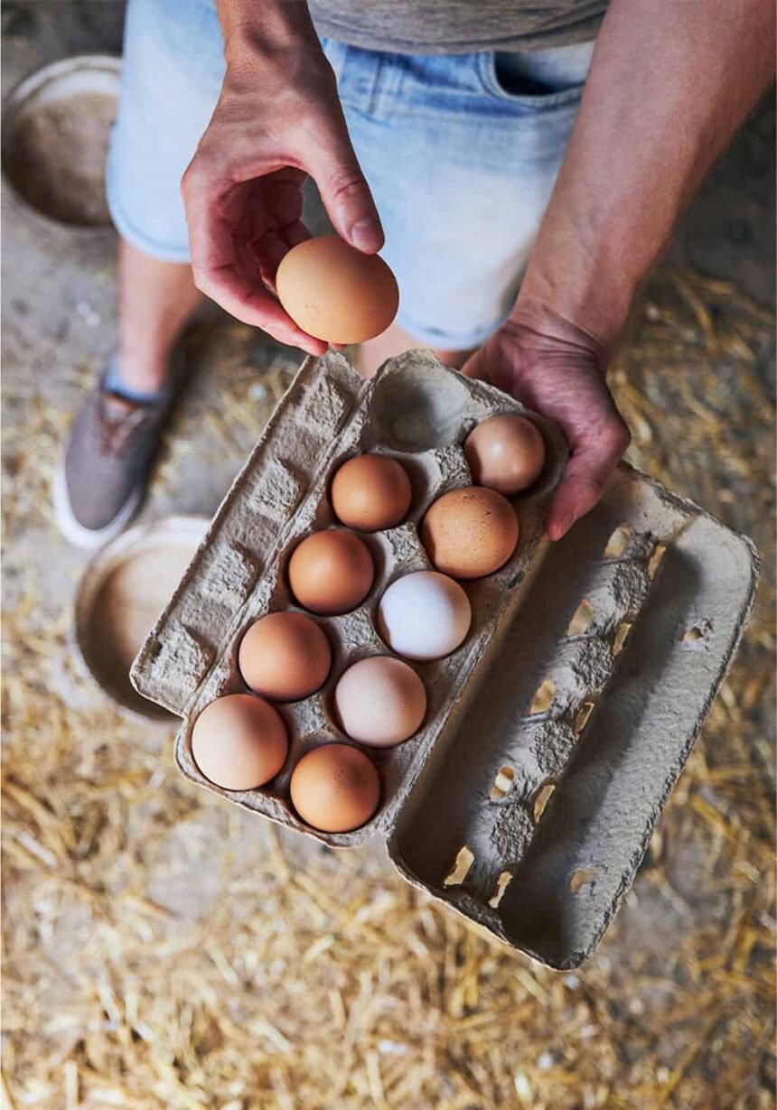 How Long Do Farm Fresh Eggs Last