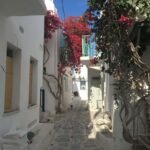 How To Have The Perfect Trip + 2026 Guide