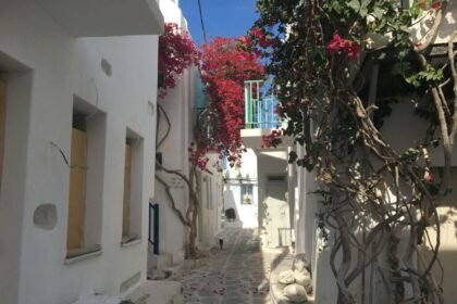 How To Have The Perfect Trip + 2026 Guide