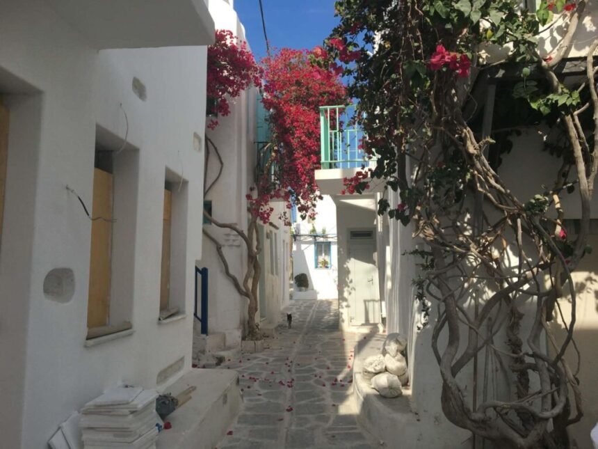 How To Have The Perfect Trip + 2026 Guide