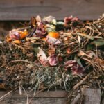 How to Compost (EASY AND FAST)- Fresh Exchange