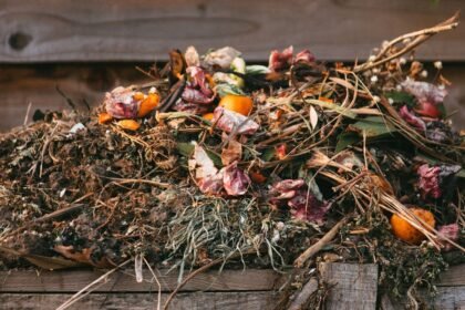 How to Compost (EASY AND FAST)- Fresh Exchange