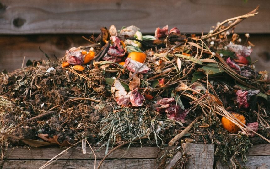 How to Compost (EASY AND FAST)- Fresh Exchange