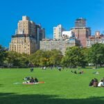 The Best Things to Do in New York in August 2026