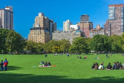 The Best Things to Do in New York in August 2026