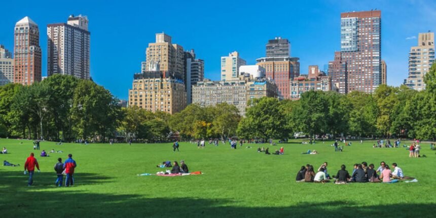 The Best Things to Do in New York in August 2026