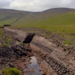 peat bog extraction