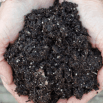 hands holding soil with perlite in it