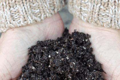 hands holding soil with perlite in it