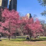 The Best Things To Do In NYC In April 2026