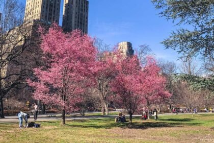 The Best Things To Do In NYC In April 2026
